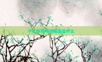 十大令牌考古挖宝是什么