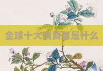 全球十大消费者是什么