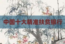 中国十大精准扶贫银行