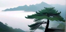 中国十大境界是什么意思