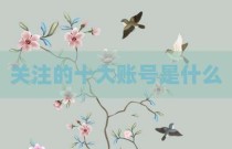 关注的十大账号是什么