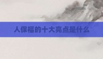 人保福的十大亮点是什么