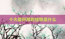 十大最好用的挂物是什么