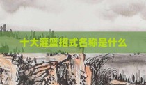 十大灌篮招式名称是什么