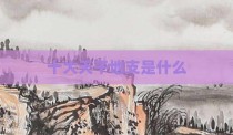 十大天干地支是什么