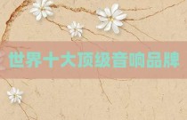 世界十大顶级音响品牌