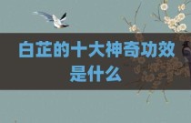 白芷的十大神奇功效是什么