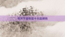 布天下墙布是十大品牌吗