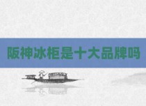 阪神冰柜是十大品牌吗