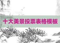 十大美景投票表格模板