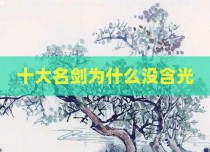 十大名剑为什么没含光