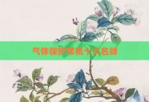 气体保护焊机十大名牌