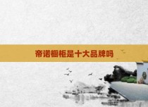 帝诺橱柜是十大品牌吗