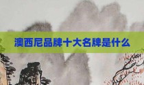 澳西尼品牌十大名牌是什么