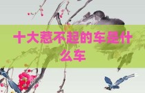 十大惹不起的车是什么车