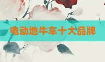 电动地牛车十大品牌