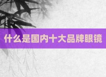什么是国内十大品牌眼镜