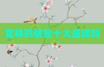 宜林照明是十大品牌吗