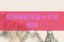台翔电动车是十大名牌吗