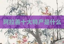 阿拉善十大特产是什么