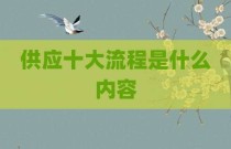 供应十大流程是什么内容