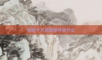 松桃十大高峰事件是什么