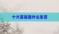 十大富翁是什么生百