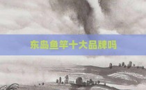 东岛鱼竿十大品牌吗