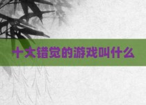 十大错觉的游戏叫什么
