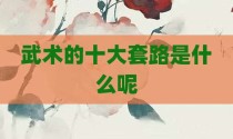 武术的十大套路是什么呢