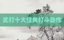 武打十大经典打斗动作