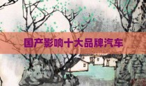 国产影响十大品牌汽车