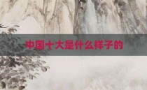 中国十大是什么样子的