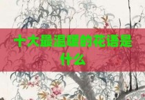 十大最温暖的花语是什么