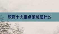 双高十大重点领域是什么
