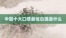 中国十大口感最佳白酒是什么