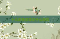 十大诱鱼效果是什么样的