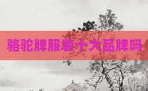 骆驼牌服装十大品牌吗