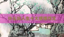 什么叫人生十大感悟作文