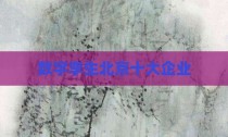 数字孪生北京十大企业