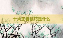 十大王者技巧是什么