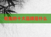轮胎的十大品牌是什么