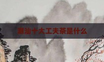 潮汕十大工夫茶是什么