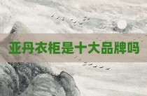 亚丹衣柜是十大品牌吗