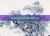 windows已对internet