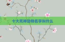 十大死神动物名字叫什么