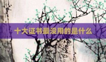 十大证书最没用的是什么