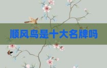 顺风鸟是十大名牌吗
