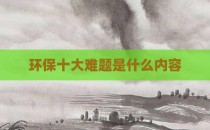 环保十大难题是什么内容