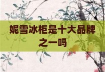 妮雪冰柜是十大品牌之一吗